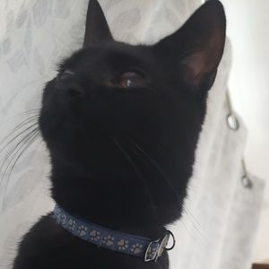 Meet your Posher, Angie